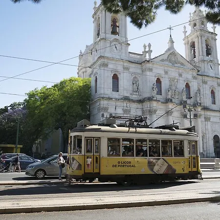 Tilty Estrela * Lisboa